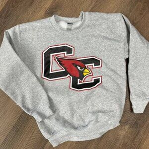 Arizona Cardinals Football NFL Arizona Cardinals sweatshirt shirt '91